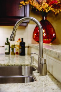 Top-of-the-line Kohler faucet